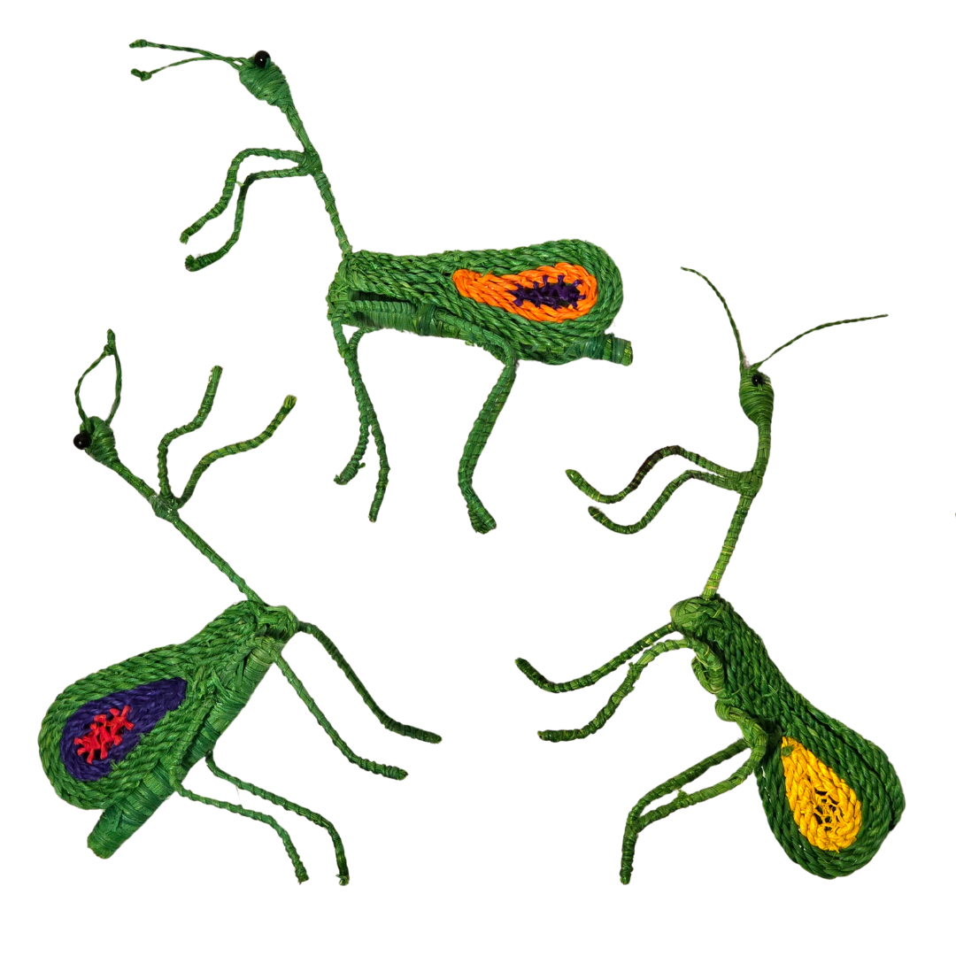 PRAYING MANTIS WOVEN INSECT ORNAMENT - HAND-MADE BY ARTISAN FROM THE PERUVIAN AMAZON