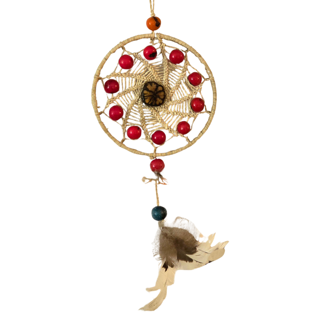 Nature dream catchers - made by artisans from the Peruvian Amazon - Amazon Ecology