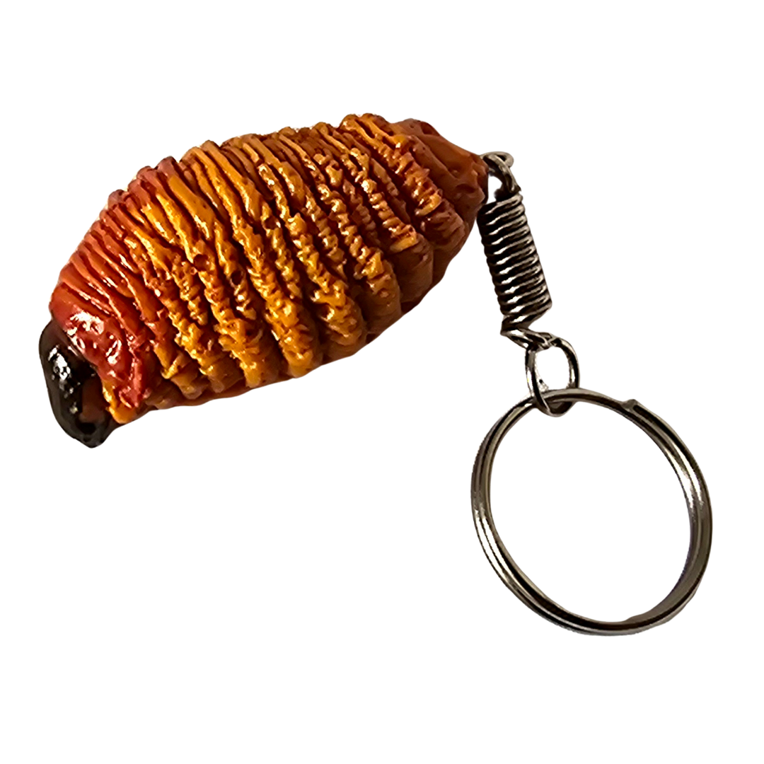Suri palm weevil larva keychain from Peru - Amazon Ecology