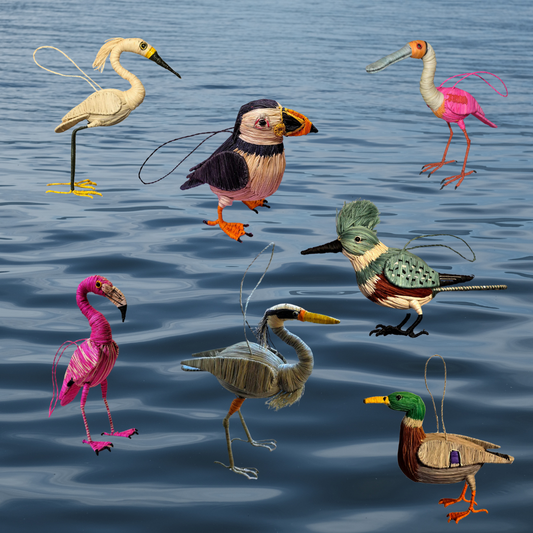 Wholesale: Favorite Waterbird Birds - 13 Ornaments from 7 Species - Amazon Ecology