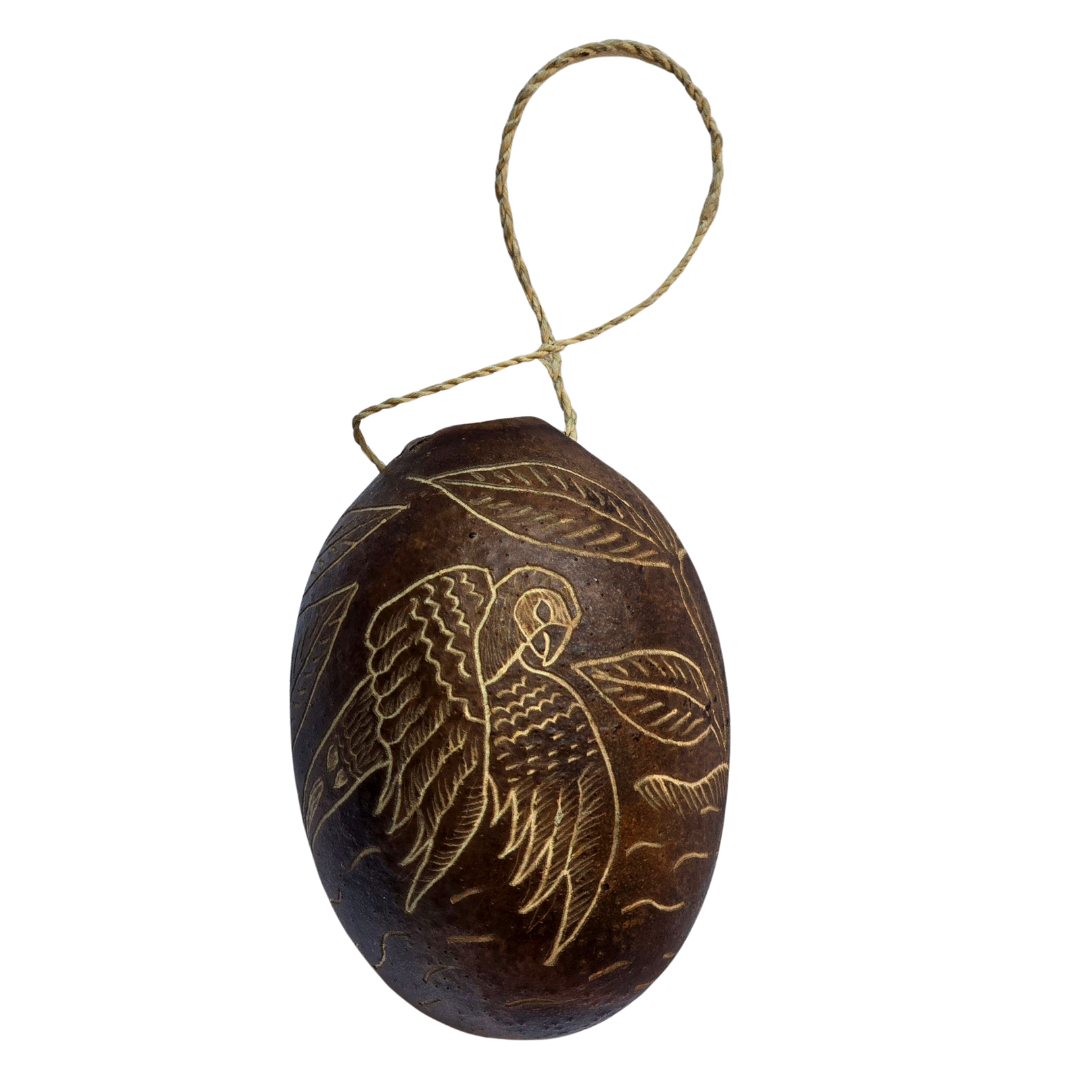 Parrot and Macaw Bird Calabash Christmas tree ornament and hand rattle - Amazon Ecology