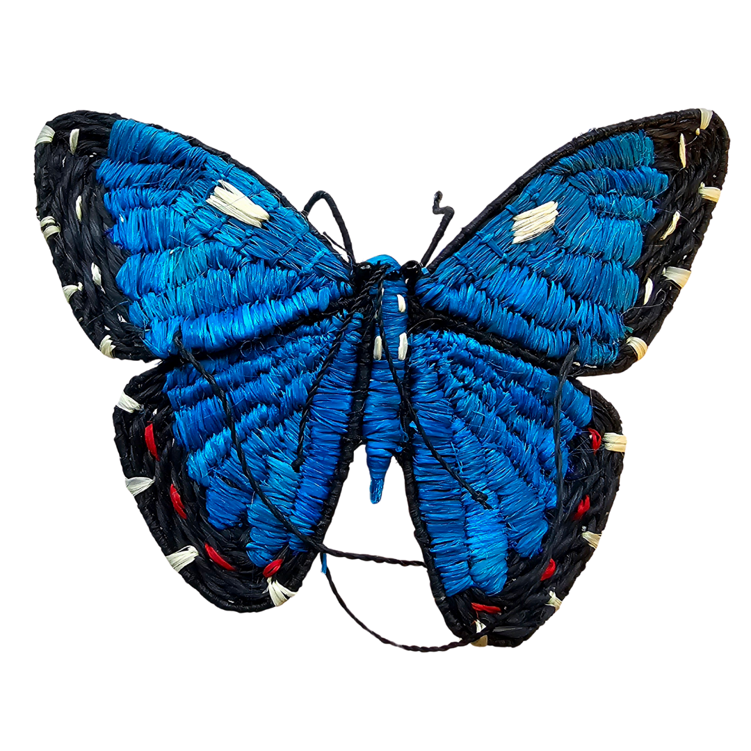 BUTTERFLY WOVEN INSECT ORNAMENT - HAND-MADE BY ARTISAN FROM THE PERUVIAN AMAZON - Amazon Ecology