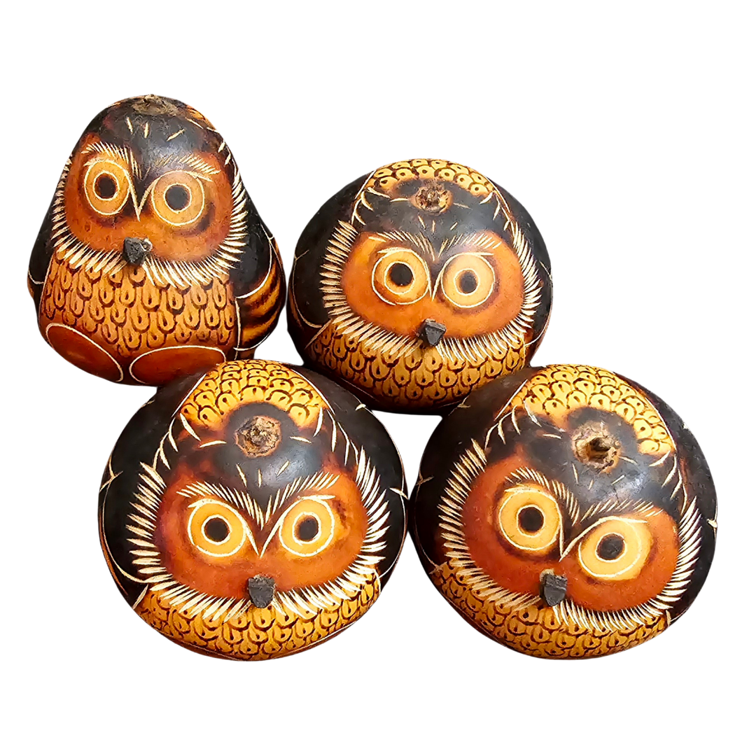Owl Bird Calabash Gourd decoration and ornament - Amazon Ecology
