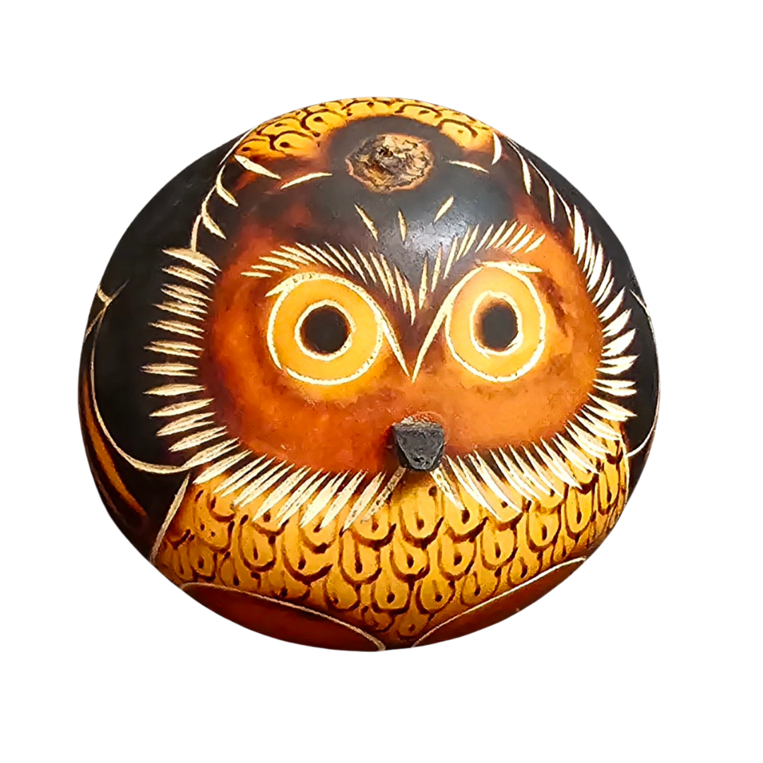 Owl Bird Calabash Gourd decoration and ornament - Amazon Ecology