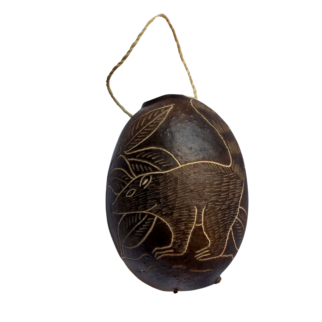 Coati Mammal Calabash Christmas tree ornament and hand rattle - Amazon Ecology