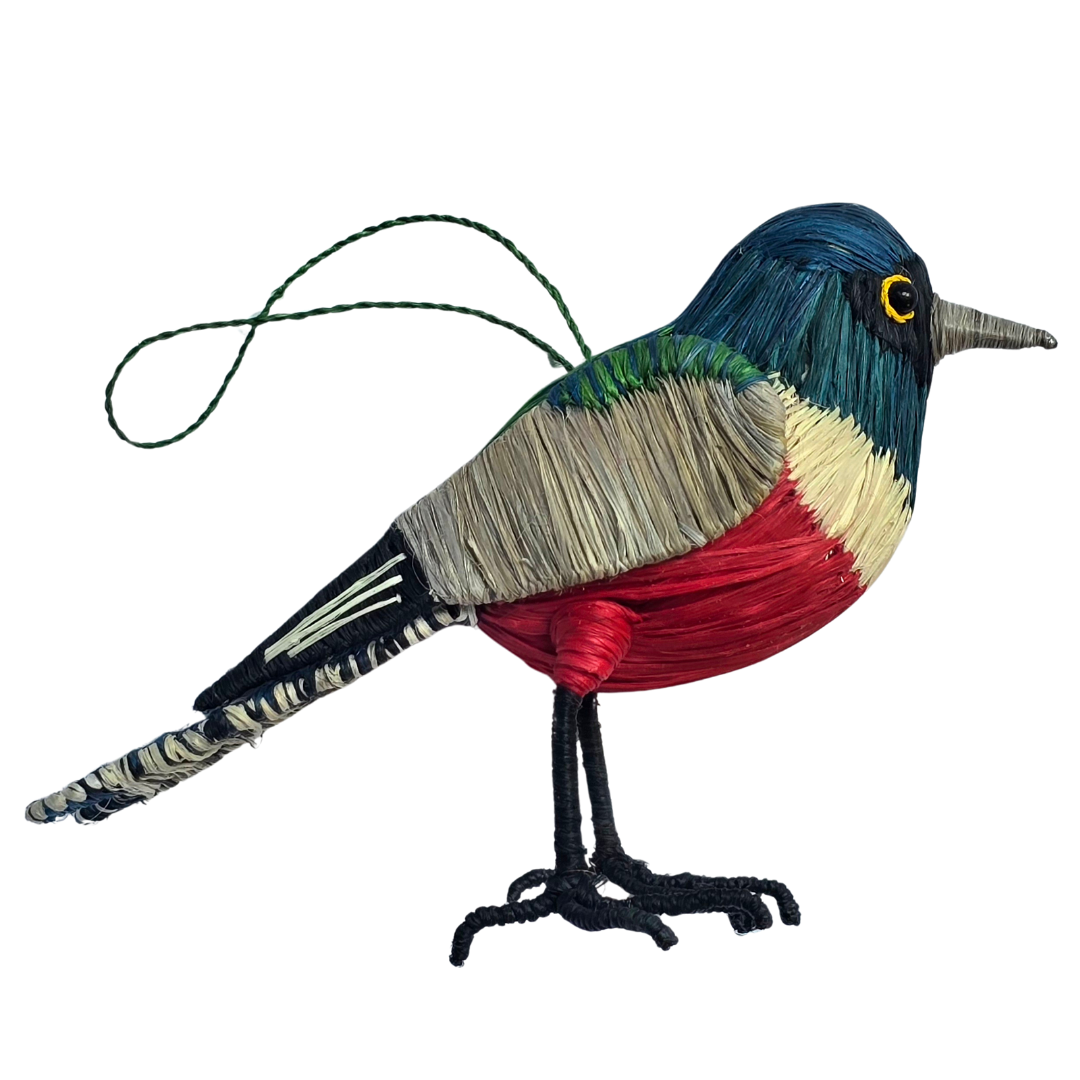 BLUE-CROWNED TROGON BIRD - FAIR-TRADE CHRISTMAS TREE ORNAMENT - WOVEN BY PERUVIAN AMAZON ARTISAN - Amazon Ecology