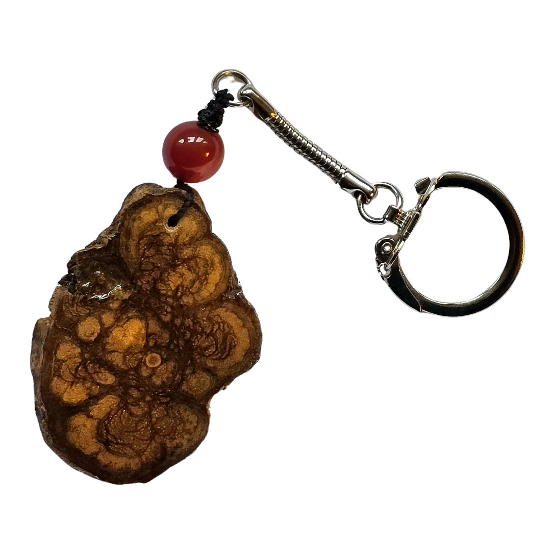 Ayahuasca keychains from the Peruvian Amazon - Amazon Ecology