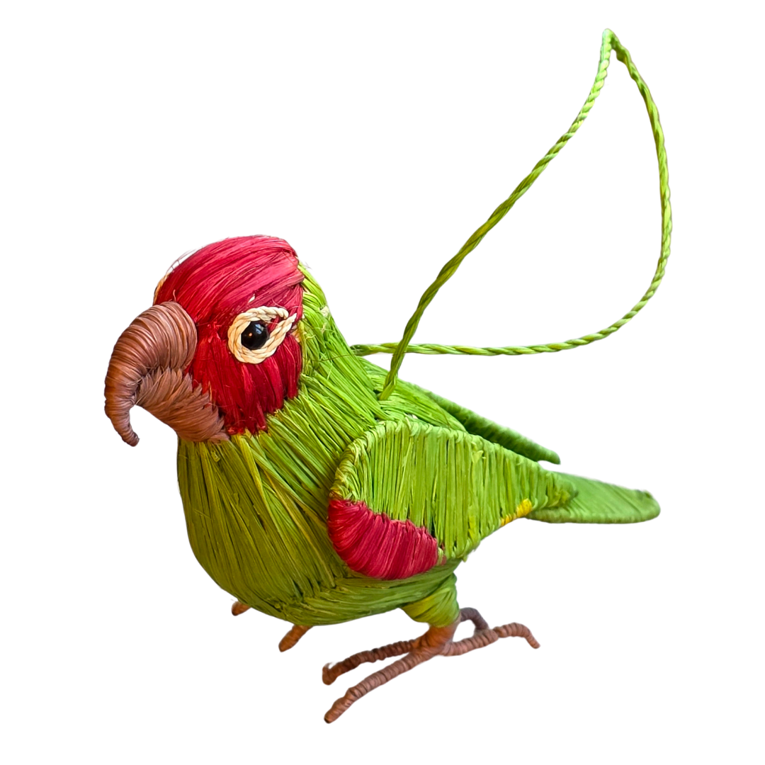 Wholesale: Favorite Tropical Birds - 17 Ornaments from 12 Species - Amazon Ecology