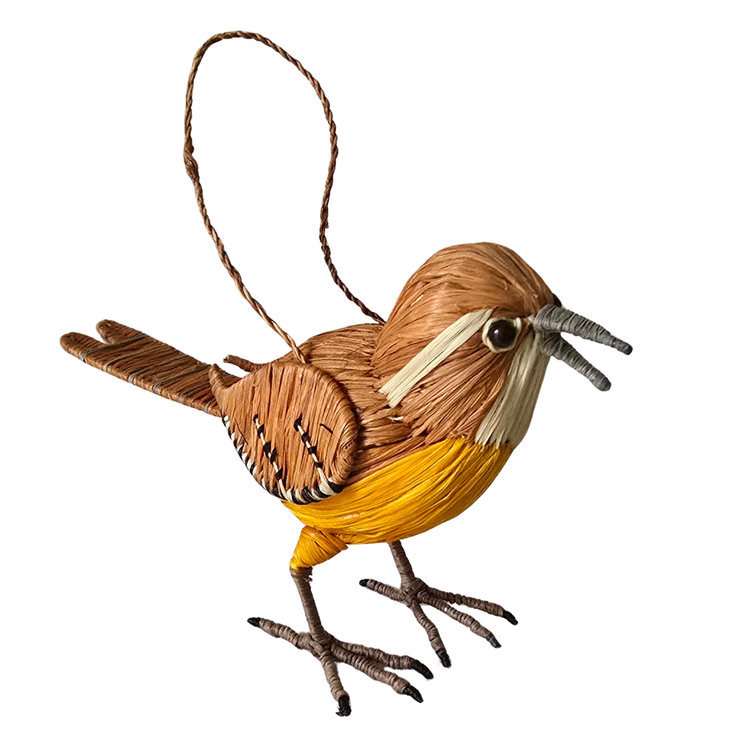 Wholesale: Favorite North American Birds - 75 Ornaments from 25 Species - Amazon Ecology