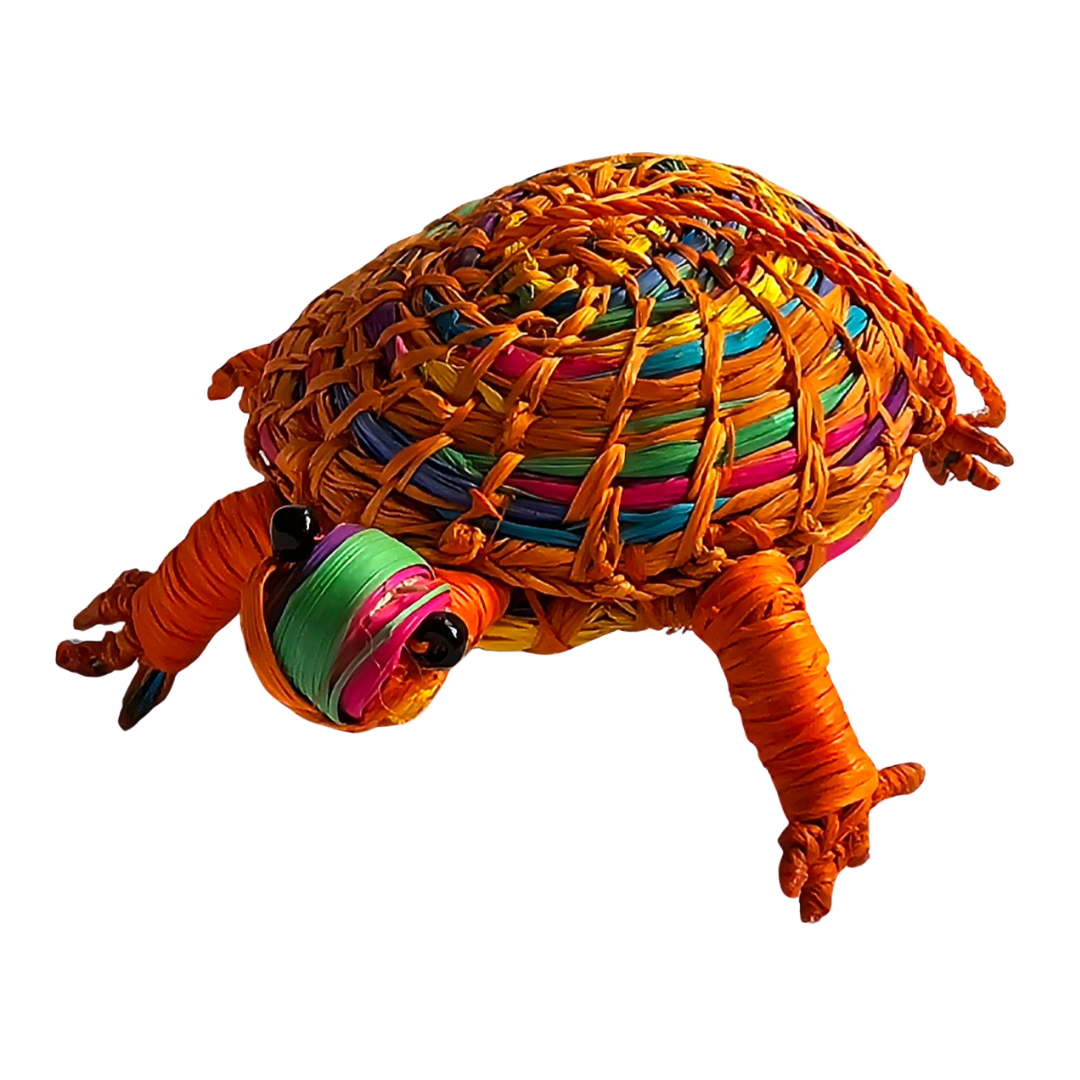 Wholesale: Frogs, Turtles & More - 14 Ornaments from 4 Species - Amazon Ecology