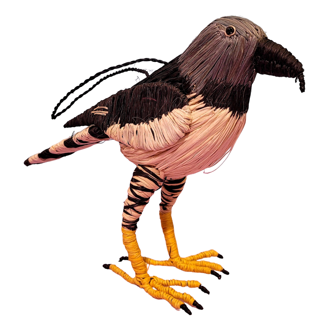 HARPY EAGLE AND CARACARA BIRD - FAIR-TRADE CHRISTMAS TREE ORNAMENT - WOVEN BY PERUVIAN AMAZON ARTISAN - Amazon Ecology