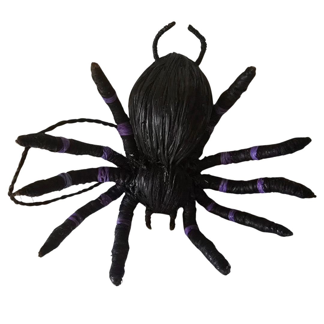 TARANTULA SPIDER ORNAMENT - HAND-MADE BY ARTISAN FROM THE PERUVIAN AMAZON - Amazon Ecology