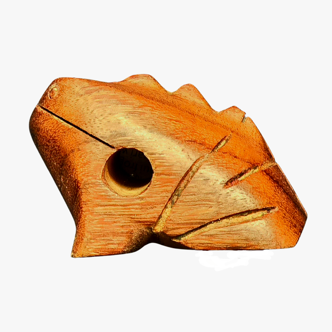 Wooden coqui frog rasp - Amazon Ecology