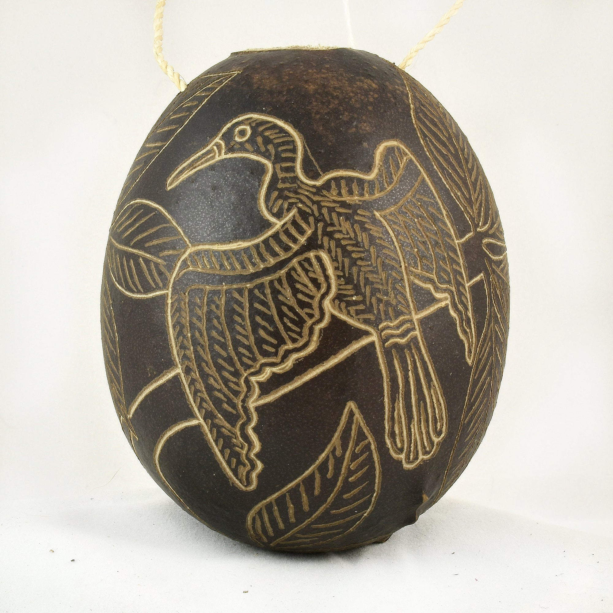 Anhinga Bird Calabash Christmas tree ornament and hand rattle - Amazon Ecology