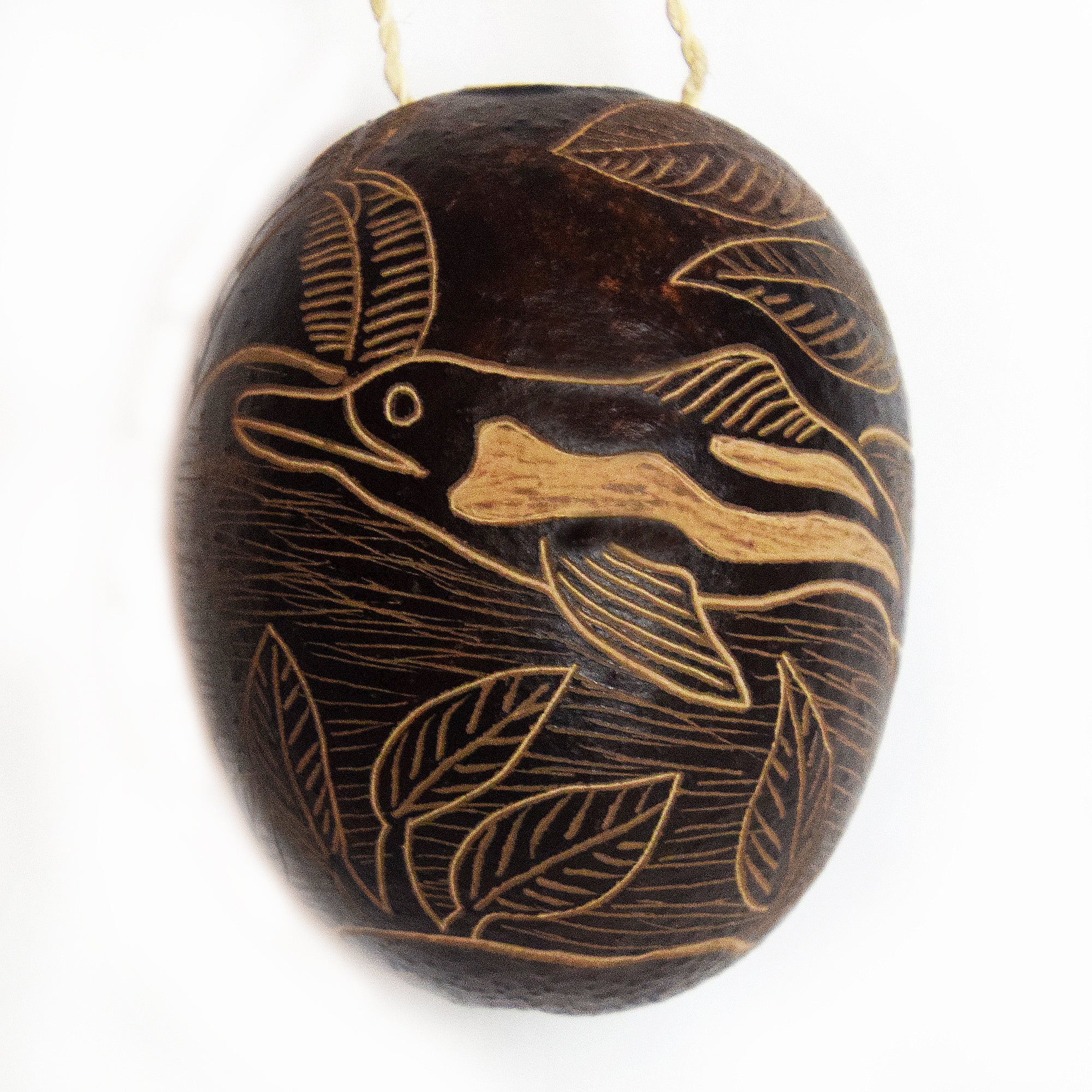 Dolphin Mammal Calabash Christmas tree ornament and hand rattle - Amazon Ecology