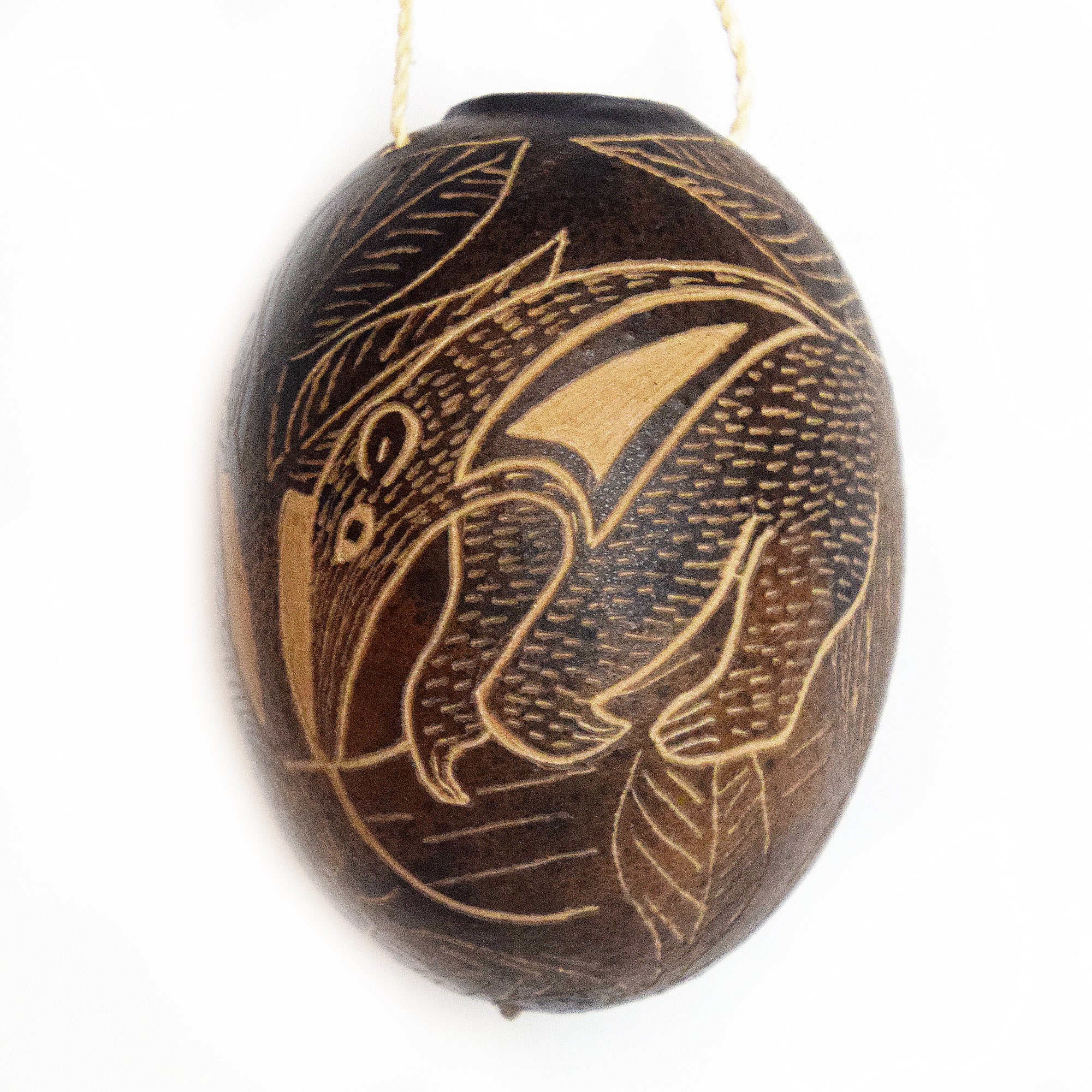 Anteater Mammal Calabash Christmas tree ornament and hand rattle - Amazon Ecology