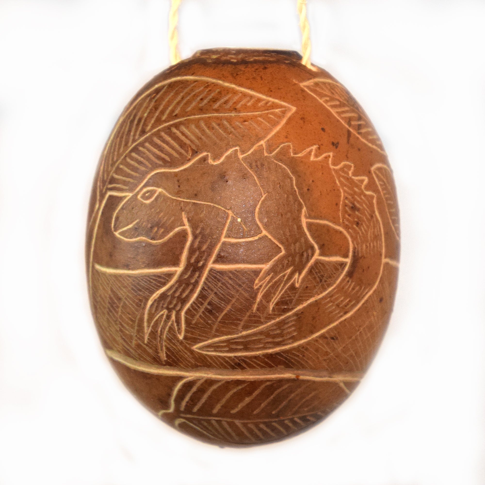 Iguana Reptile Calabash Christmas tree ornament and hand rattle - Amazon Ecology