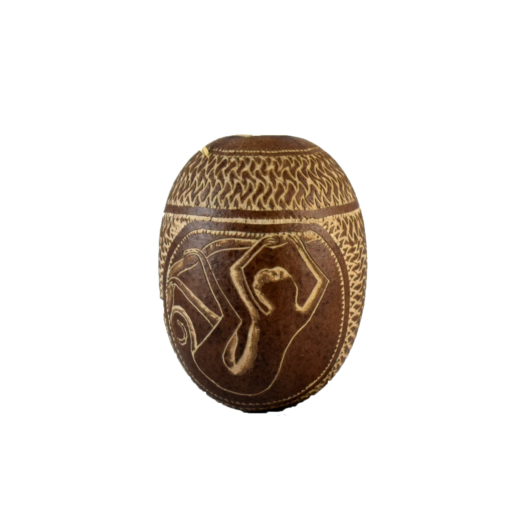 Monkey Mammal Calabash Christmas tree ornament and hand rattle - Amazon Ecology