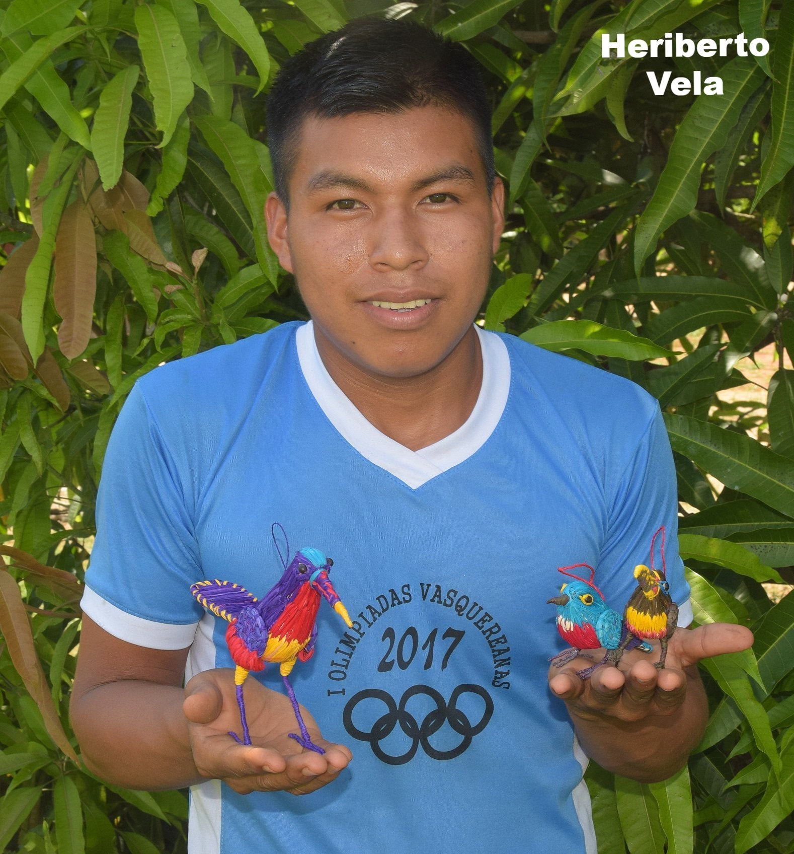 FAIR -TRADE CHRISTMAS TREE BIRD ORNAMENT - BLUE-CROWNED MOTMOT - WOVEN BY PERUVIAN AMAZON ARTISAN - Amazon Ecology