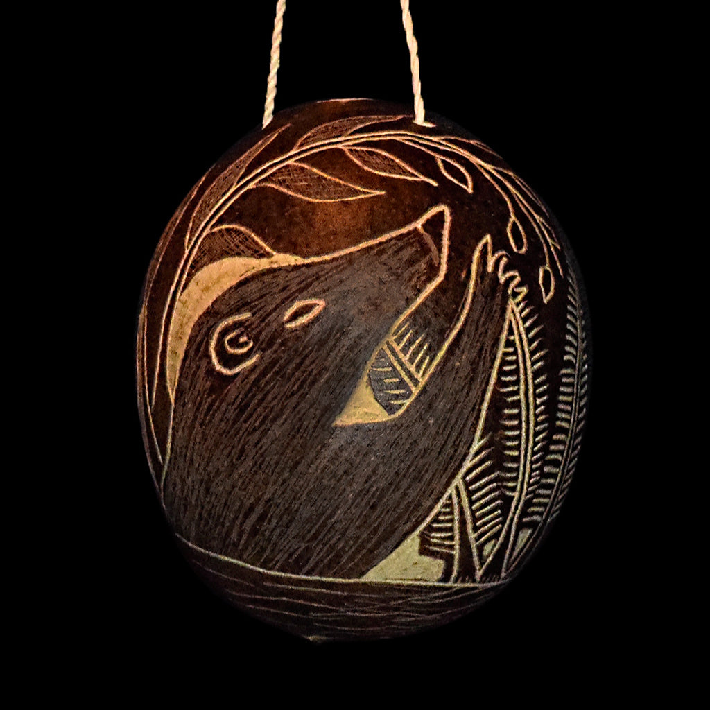 Coati Mammal Calabash Christmas tree ornament and hand rattle - Amazon Ecology