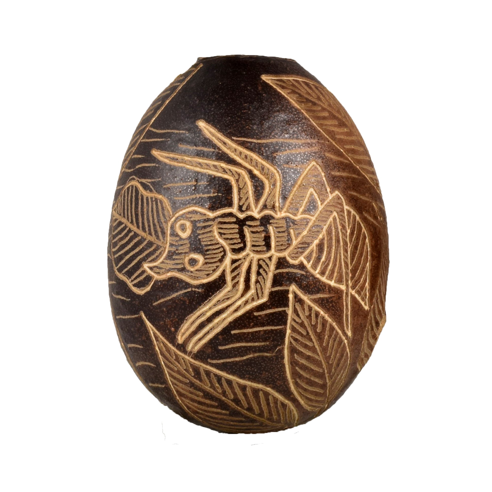 Ant Insect Calabash Christmas tree ornament and hand rattle - Amazon Ecology