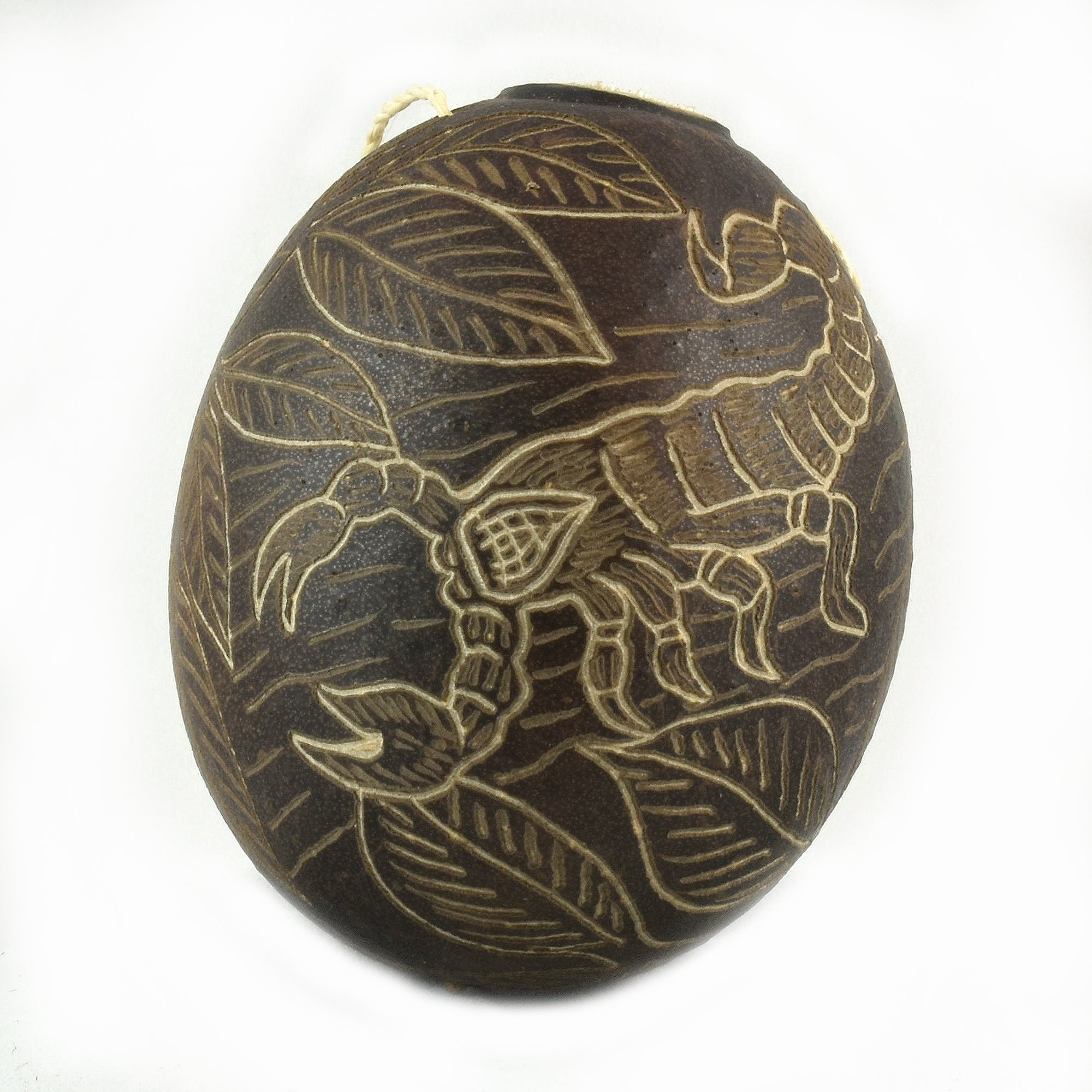 Scorpion Insect Calabash Christmas tree ornament and hand rattle - Amazon Ecology