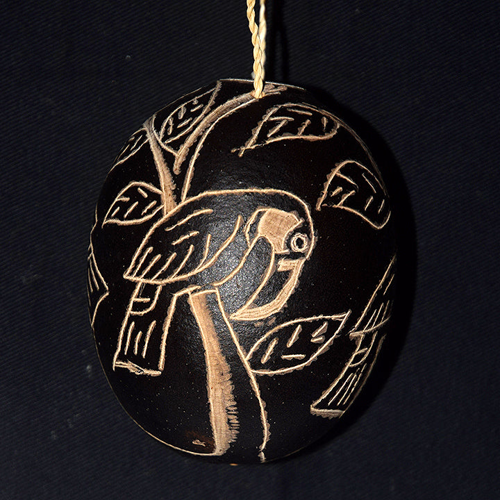 Toucan and Aracari Bird Calabash Christmas tree ornament and hand rattle - Amazon Ecology