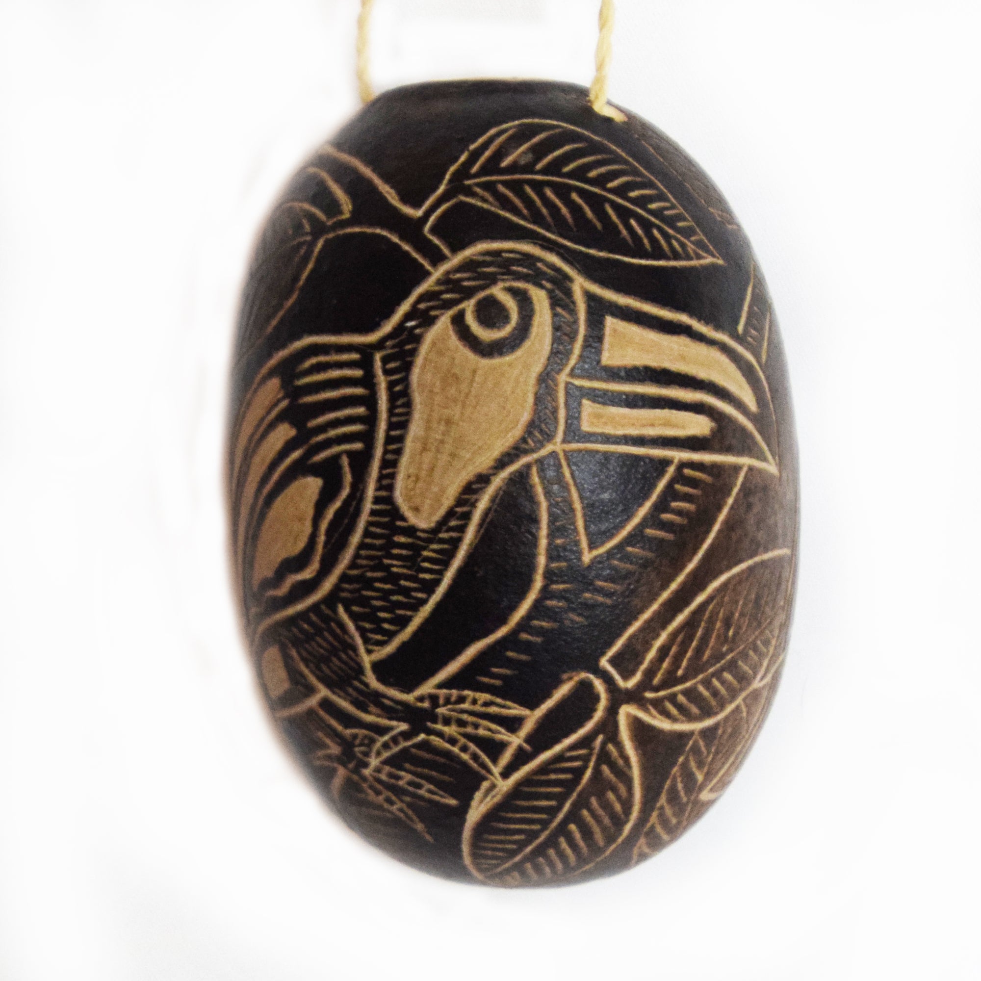 Toucan and Aracari Bird Calabash Christmas tree ornament and hand rattle - Amazon Ecology