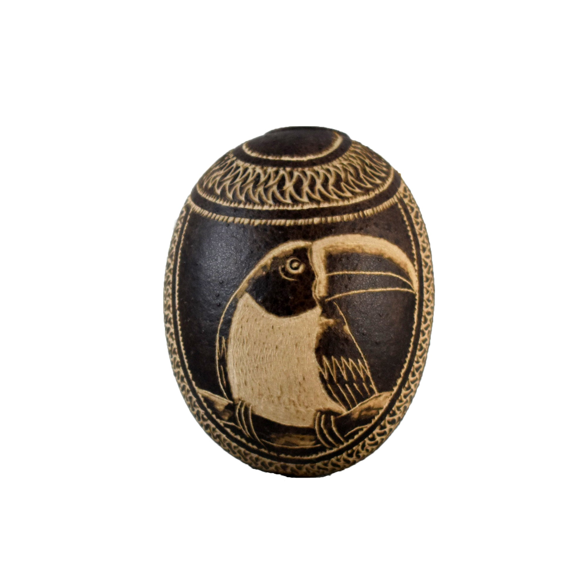 Toucan and Aracari Bird Calabash Christmas tree ornament and hand rattle - Amazon Ecology