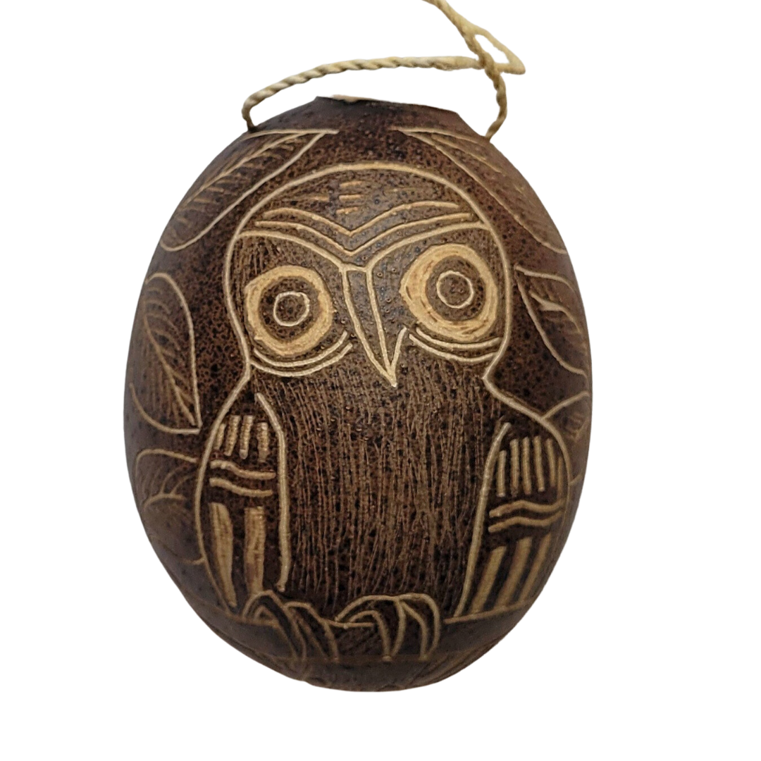 Owl Bird Calabash Christmas tree ornament and hand rattle - Amazon Ecology