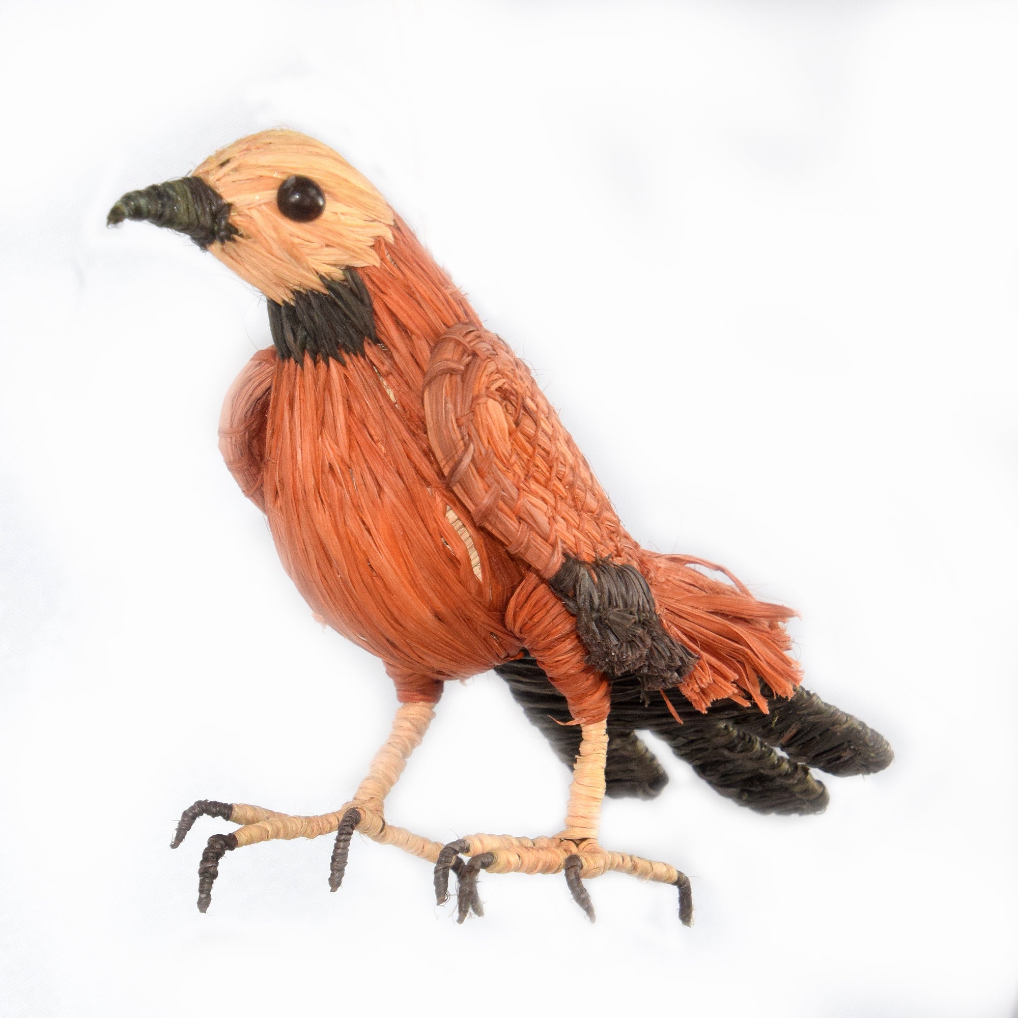 BLACK-COLLARED HAWK BIRD - FAIR-TRADE CHRISTMAS TREE ORNAMENT - WOVEN BY PERUVIAN AMAZON ARTISAN - Amazon Ecology