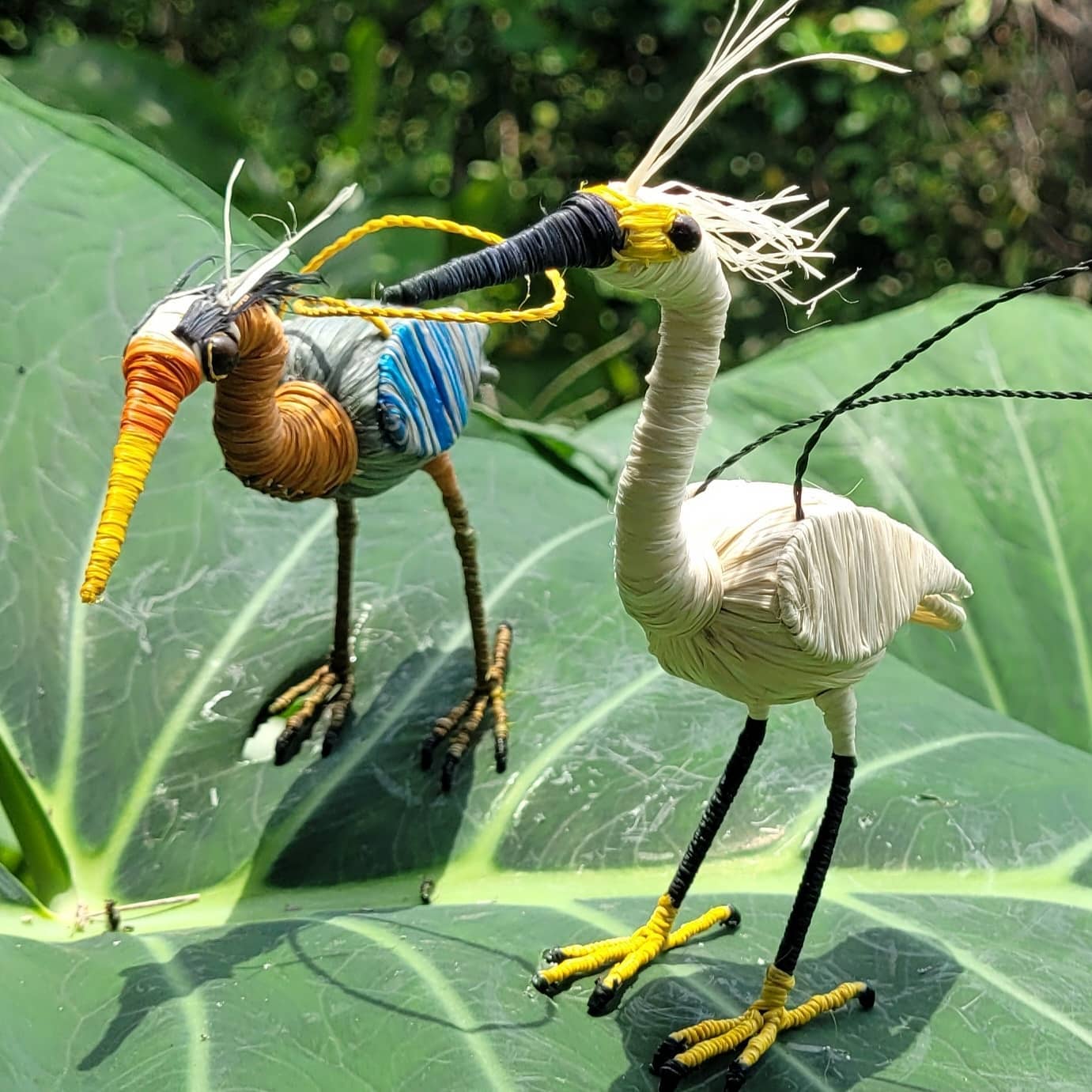 THE EGRETS THAT MADE ME CRY