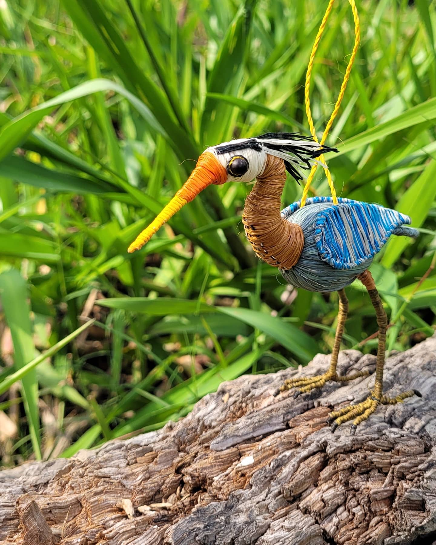 CHAMBIRA BIRDS IN NATURE