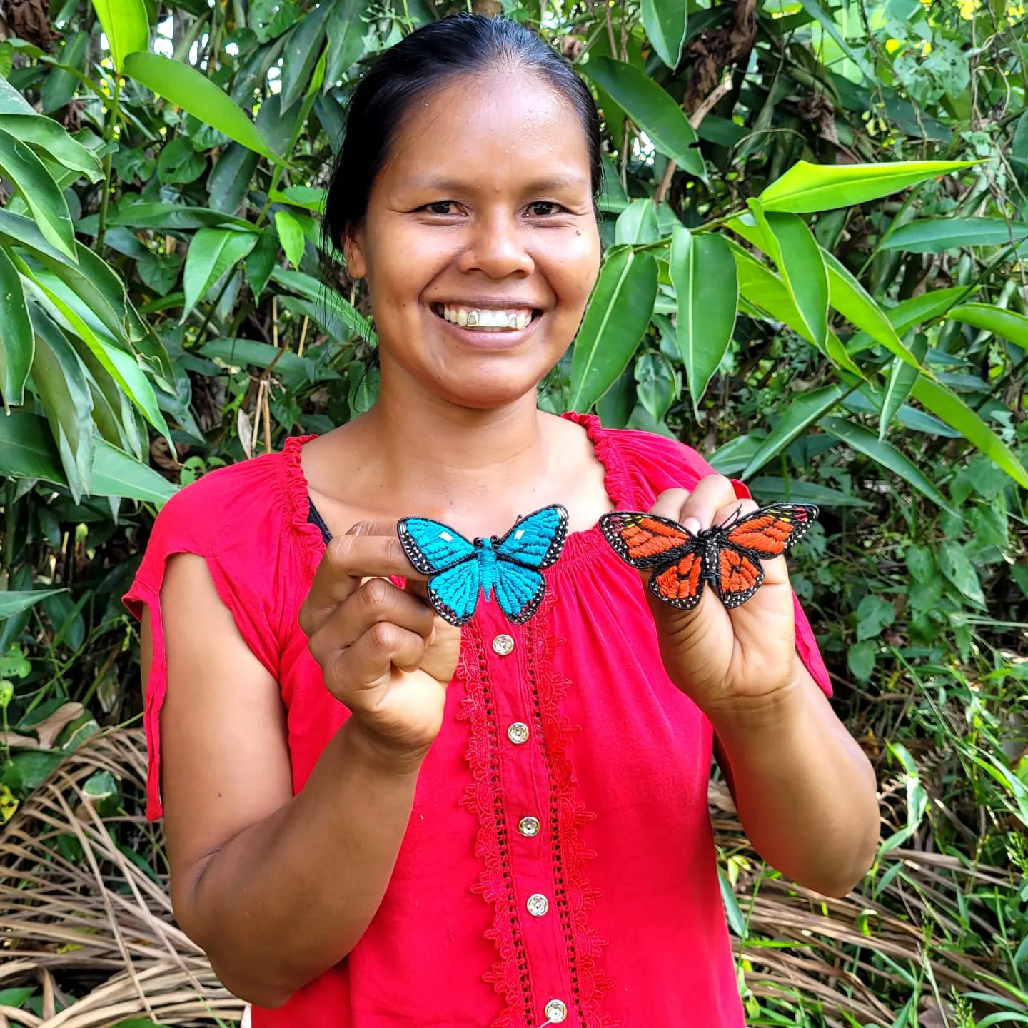 THE EVOLUTION OF THE CHAMBIRA BUTTERFLY