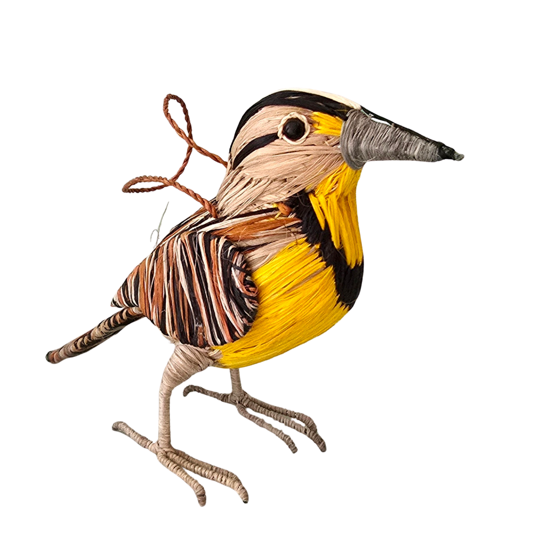 MEADOWLARK WOVEN BIRD ORNAMENT - HANDMADE BY PERUVIAN AMAZON ARTISAN - Amazon Ecology