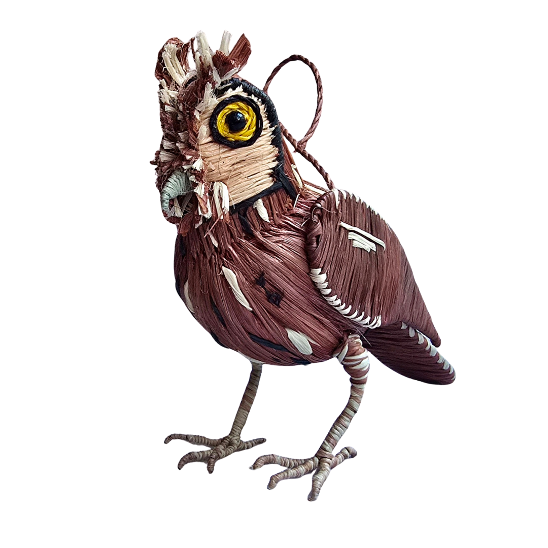 SCREECH OWL BIRD FAIR -TRADE ORNAMENT AND DECORATION- WOVEN BY PERUVIAN AMAZON ARTISAN - Amazon Ecology