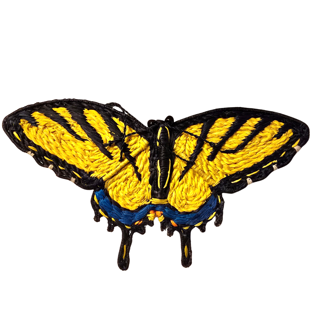 Woven butterfly hair barrettes - Amazon Ecology
