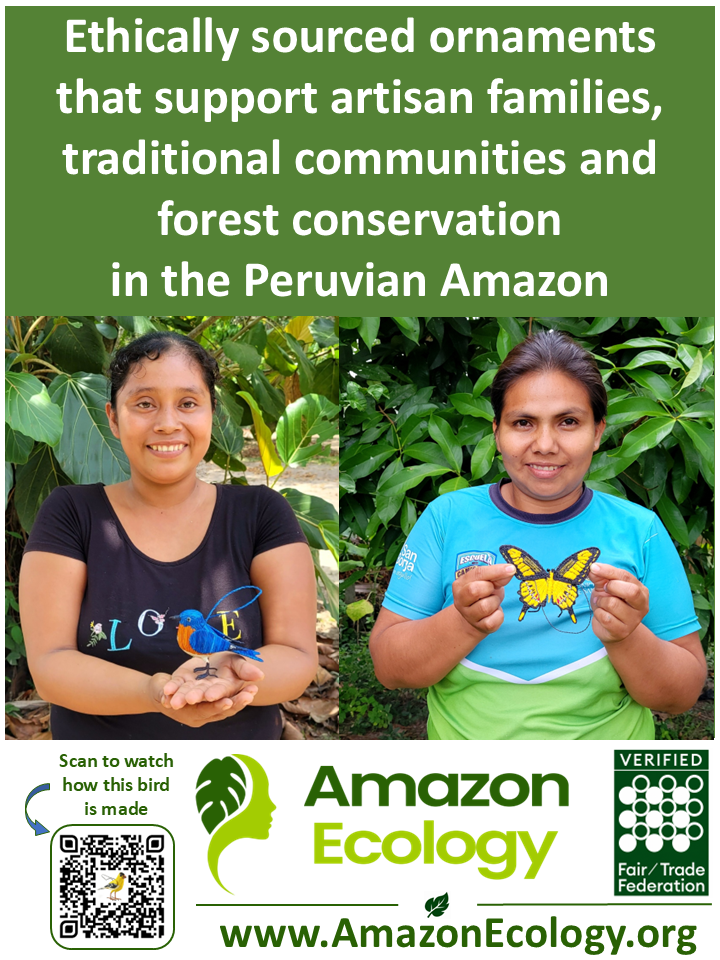 POS Poster - Amazon Ecology