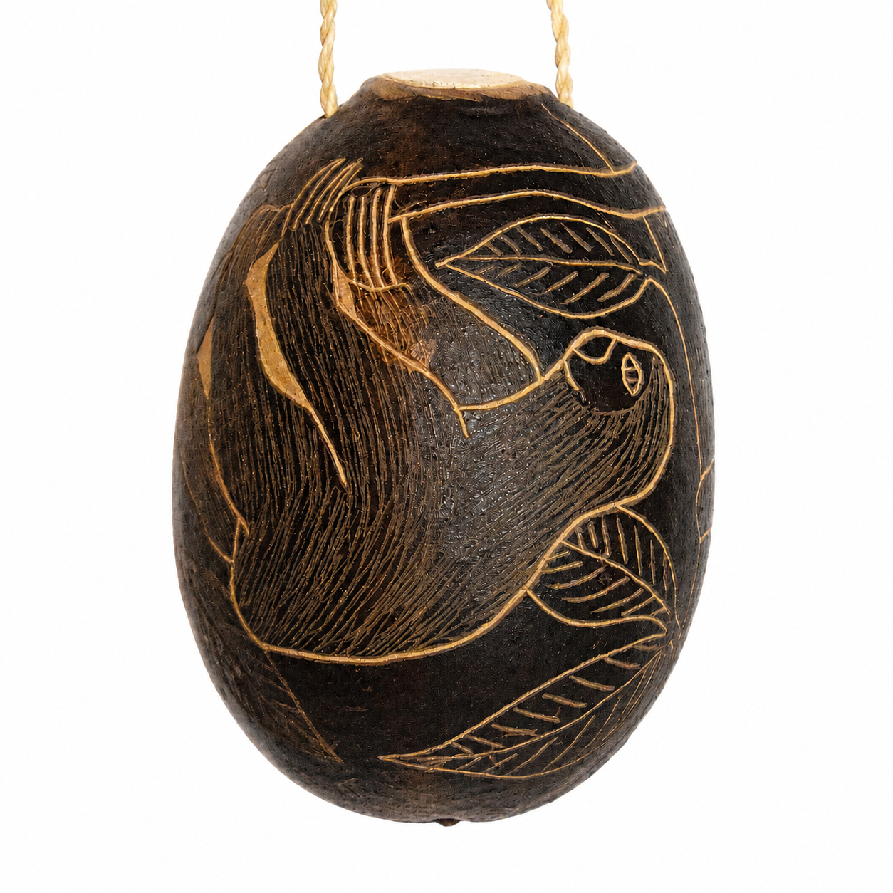 Sloth Mammal Calabash Christmas tree ornament and hand rattle - Amazon Ecology