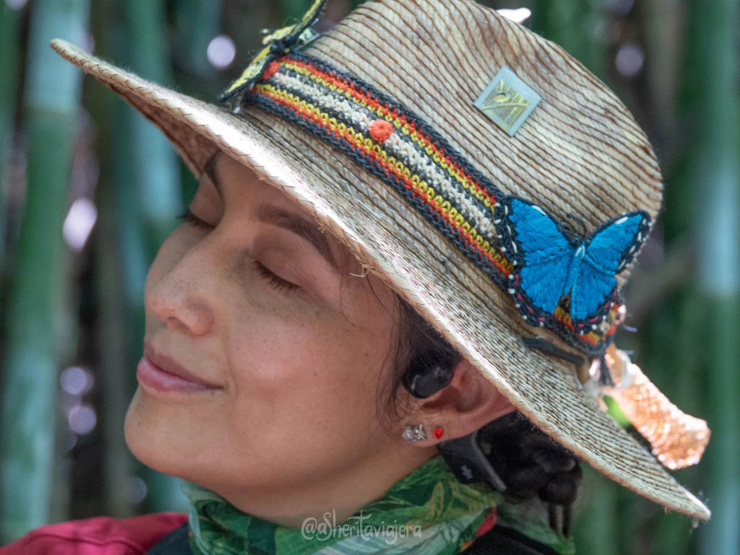 Amazon Ecology