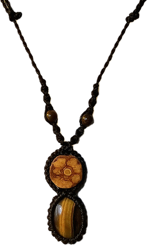 Ayahuasca vine and tiger eye macrame necklace