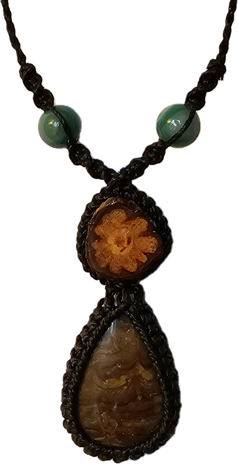 Ayahuasca vine and fossil stromatolite macrame necklace