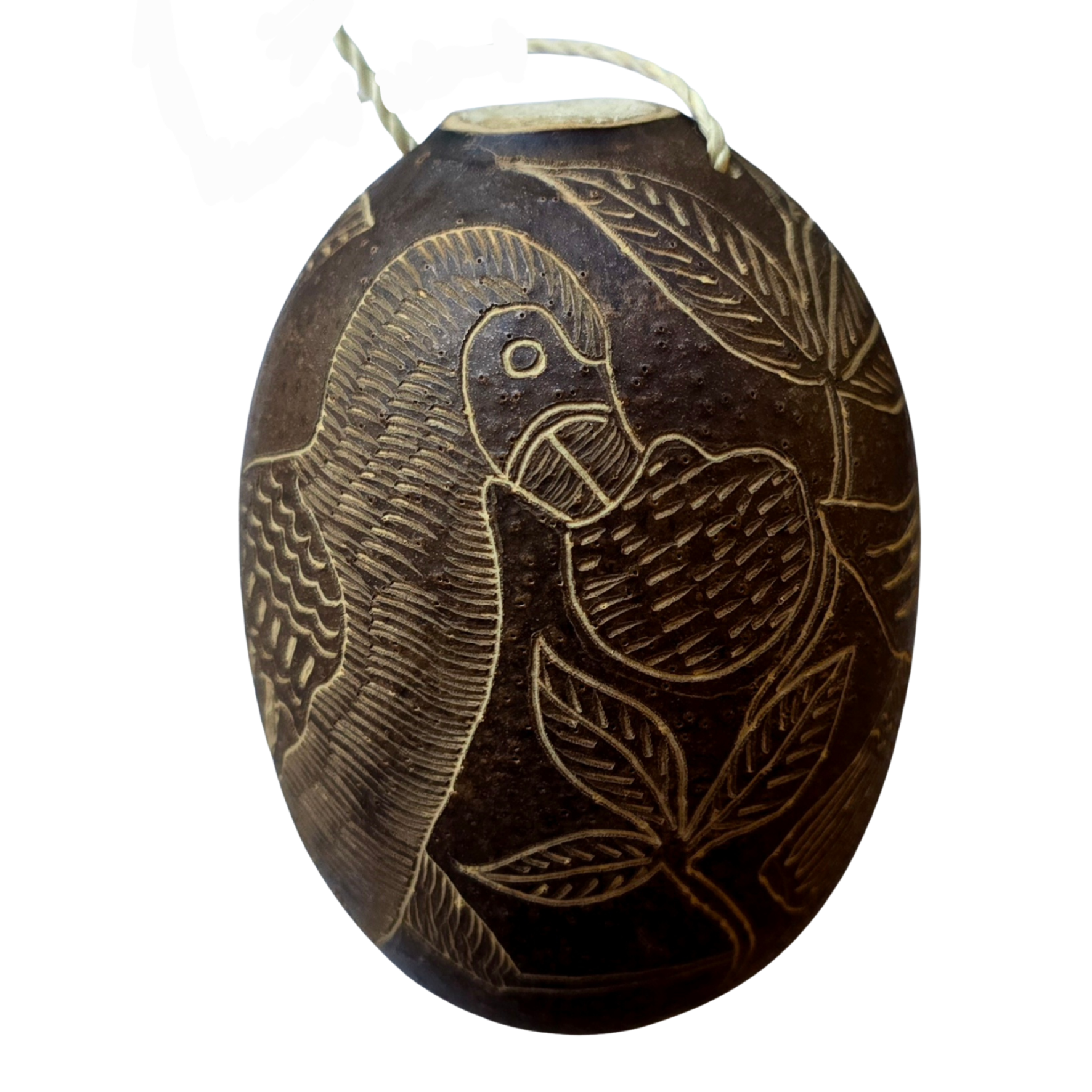 Purple gallinule Bird Calabash Christmas tree ornament - Amazon Ecology