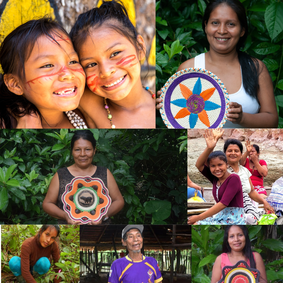 Amazon Ecology
