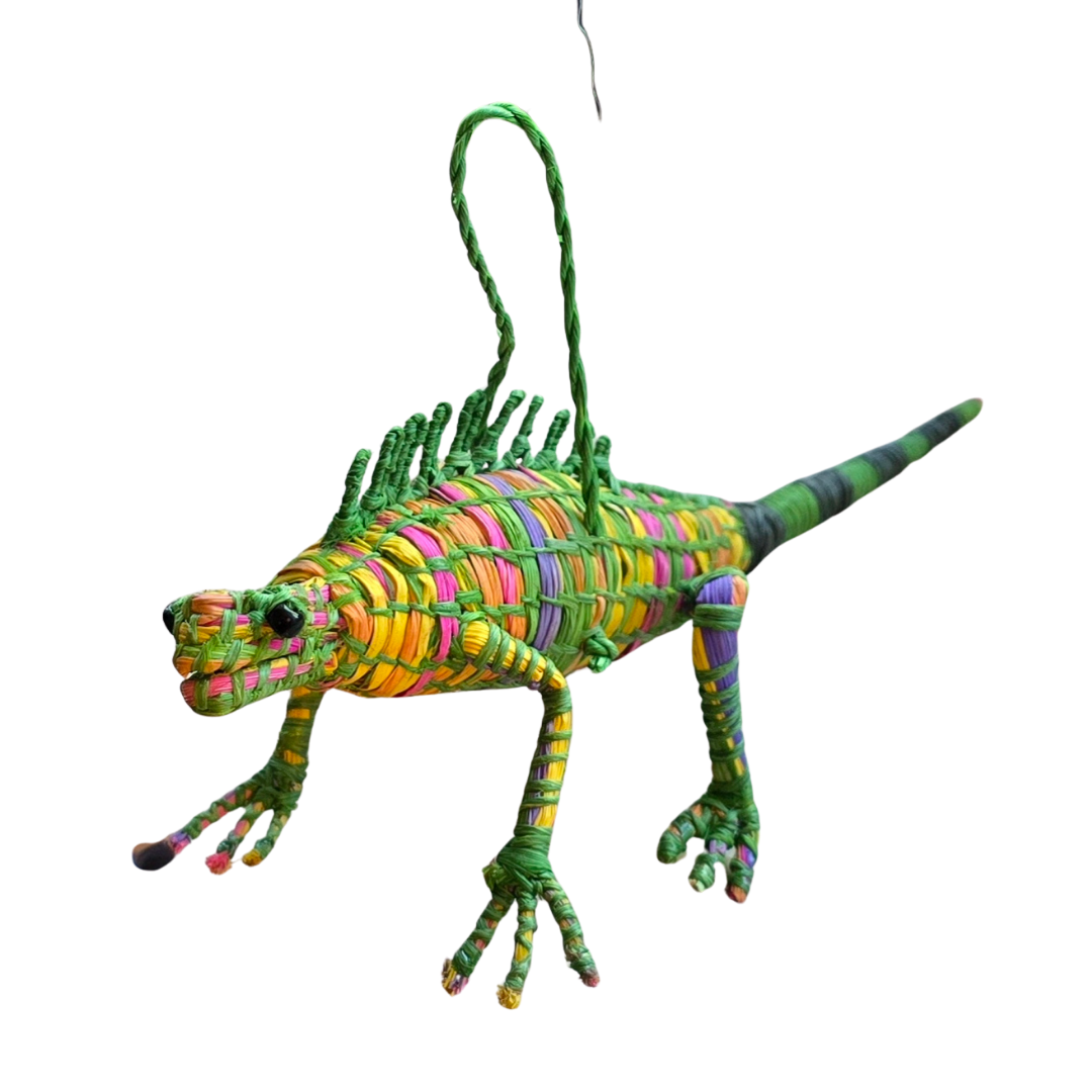 Wholesale: Frogs, Turtles & More - 14 Ornaments from 4 Species - Amazon Ecology