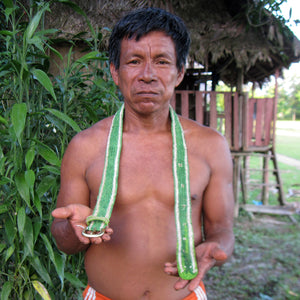 FAIR -TRADE HAND-MADE BELT - GREEN TREE PIT VIPER - LORO MACHACO PATTERN- WOVEN BY PERUVIAN AMAZON ARTISAN