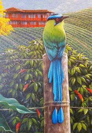 FAIR -TRADE CHRISTMAS TREE BIRD ORNAMENT - BLUE-CROWNED MOTMOT - WOVEN BY PERUVIAN AMAZON ARTISAN
